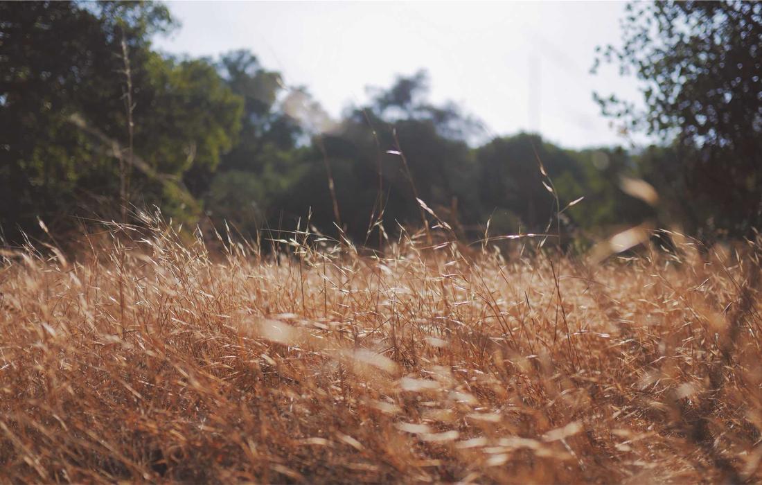 Illustrative stock photograph